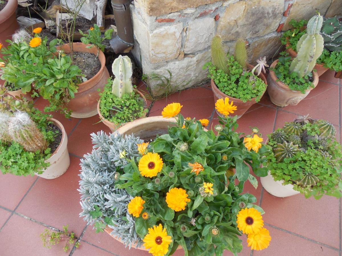 Place In Paradise Castelbuono (Sicily)